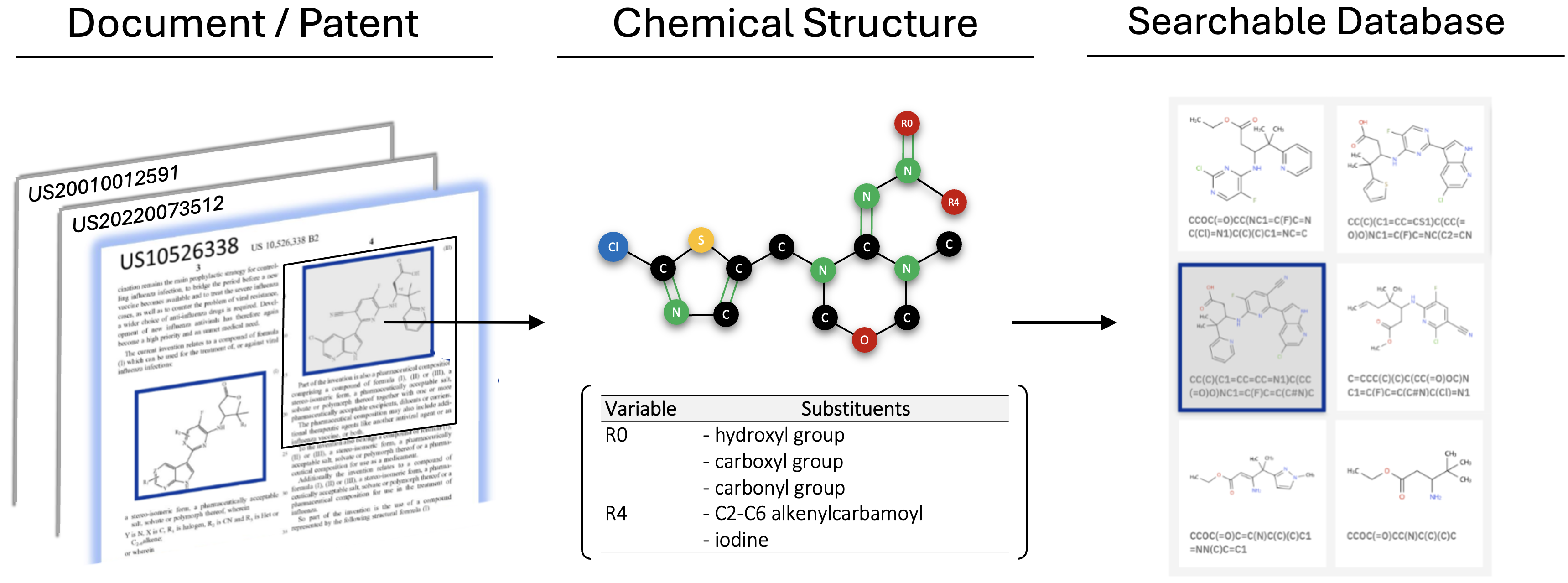 Motivation: From patent documents to searchable databases
